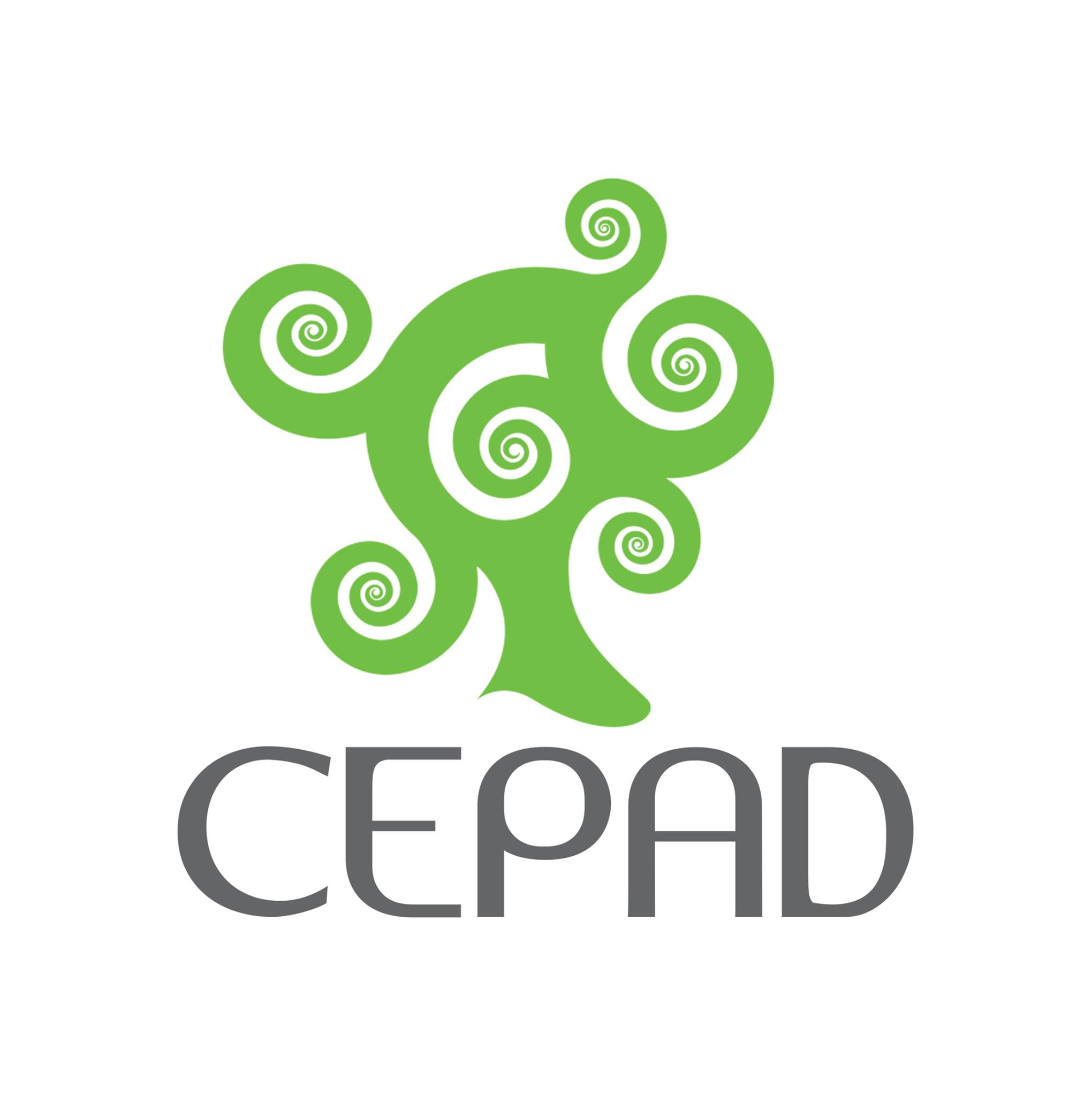 AsociacionCEPAD AsociacionCEPAD